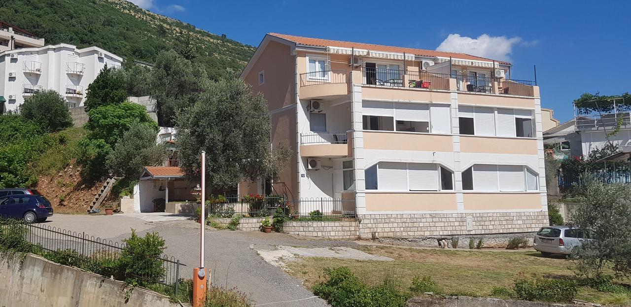 Apartmani Irena Petrovac المظهر الخارجي الصورة