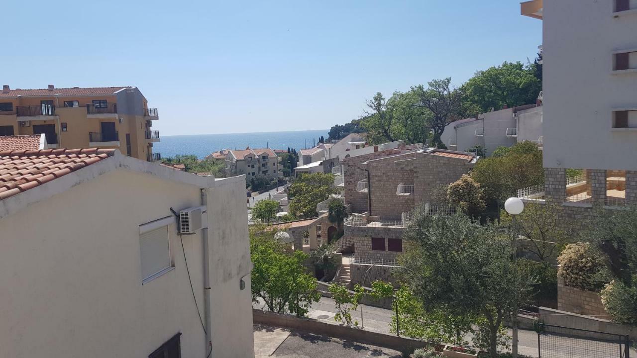 Apartmani Irena Petrovac الغرفة الصورة